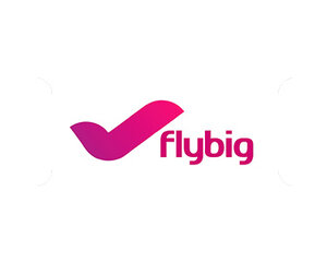 Flybig